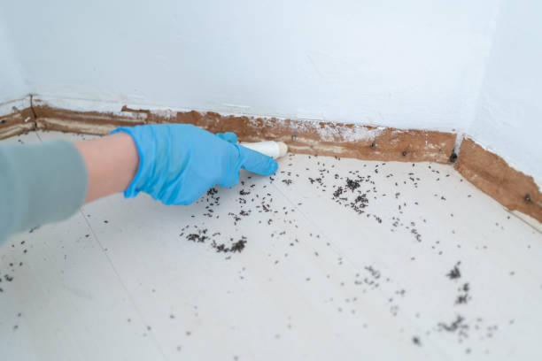 Best Commercial Pest Control Services  in Depoe Bay, OR